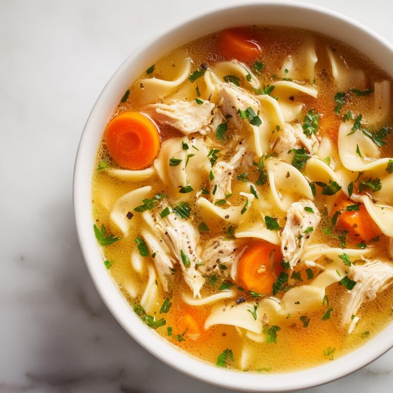 Instant Pot Chicken Noodle Soup Recipe